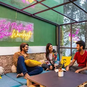 Hostal The, Munnar